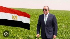 اخبار مصر اليوم