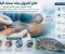 صورة مقال علاج الحروق بجلد سمك البلطي: ابتكار طبي يسرّع التئام الجروح