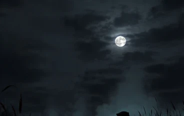 قصه حقيقيه حصلت مع شاب اسمو علاء من الصعيد