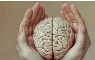 أنواع الاستبصار قيمه وفهم النفسي في العلاج النفسي 