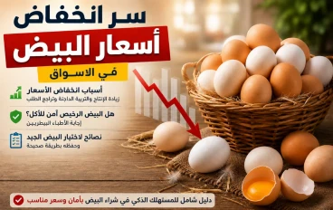 سر انخفاض أسعار البيض في الأسواق.. واختبار بسيط بالماء يكشف عمر البيضة وهل هي طازجة أم مخزنة منذ فترة