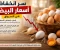 صورة مقال سر انخفاض أسعار البيض في الأسواق.. واختبار بسيط بالماء يكشف عمر البيضة وهل هي طازجة أم مخزنة منذ فترة