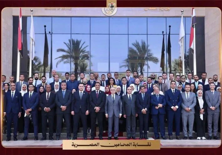 نظام التقاضي عن بعد