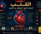 صورة مقال القلب: المحرك الذي لا يتوقف عن العمل