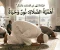 صورة مقال أهمية الصلاة في حياة الإنسان