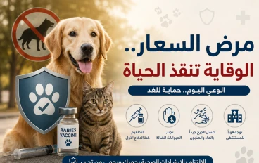 مرض السعار.. الوقاية تنقذ الحياة
