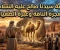 article image for قصة سيدنا صالح عليه السلام: معجزة الناقة وعبرة الإيمان والطاعة