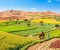 صورة مقال أساسيات الزراعة ( الأساسيات )