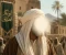صورة مقال   سيدنا أبو بكر الصديق رضي الله عنه