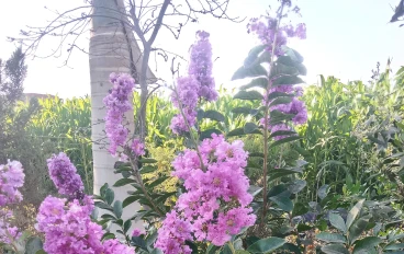 دعاء تفريج الكرب والهم واذكارو ثوابها 