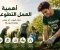 صورة مقال أهمية العمل التطوعي.