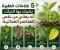 صورة مقال 5 علامات خطيرة يخبرك بها النبات أنه يعاني من نقص العناصر الغذائية