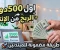 صورة مقال من الصفر إلى أول 500$.. مهن رقمية لا تحتاج لشهادة جامعية في 2026