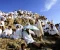صورة مقال فضل يوم عرفة