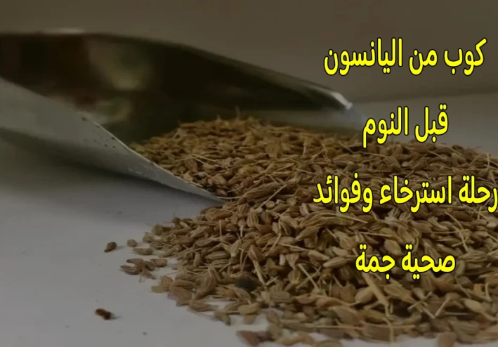 كوب من اليانسون قبل النوم: رحلة استرخاء وفوائد صحية جمة