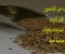 صورة مقال كوب من اليانسون قبل النوم: رحلة استرخاء وفوائد صحية جمة
