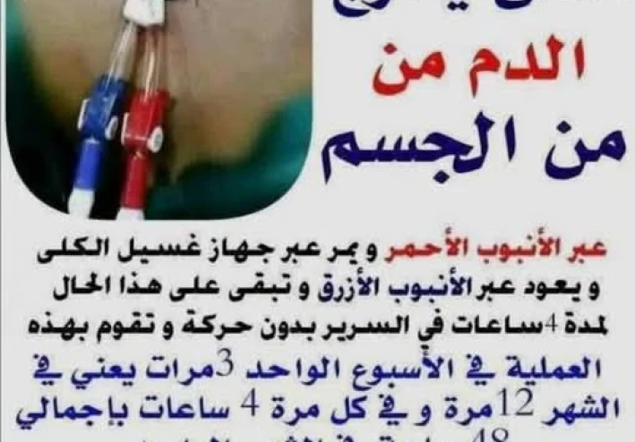 الكلي آية من آيات الله في جسد الإنسان