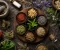صورة مقال Top 7 Herbs Used in Alternative Medicine