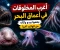 صورة مقال أغرب المخلوقات التي وجدها العلماء في أعماق البحر... بعضها يبدو وكأنه جاء من كوكب آخر!