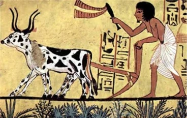 قصة الفلاح الفصيح من التاريخ المصري القديم 