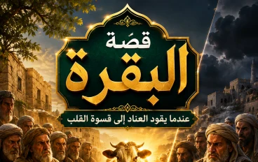 قصة البقرة.. عندما يقود العناد إلى قسوة القلب