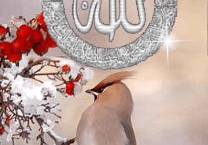 افضل 5 منح دراسيه مموله بالكامل للدراسه في الخارج بدون شرط لغه 2026