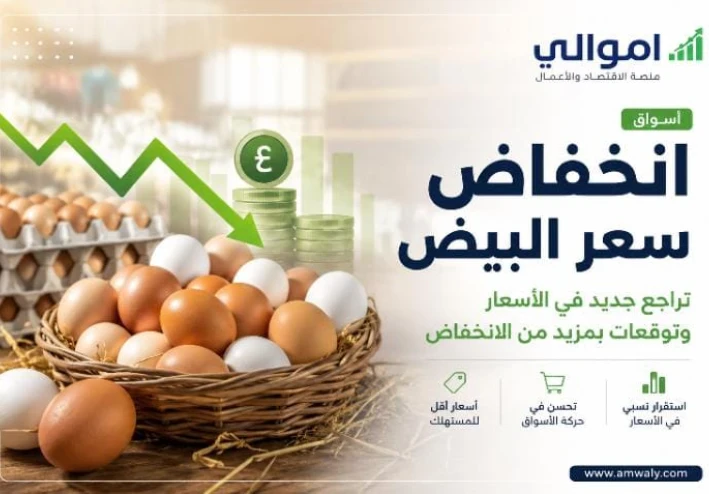 انخفاض سعر البيض في مصر