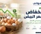 صورة مقال انخفاض سعر البيض في مصر