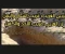 صورة مقال لَيْسَ الغَريبُ غَريبَ الشَّأمِ واليَمَنِ ‍… إِنَّ الغَريبَ غَريبُ اللَّحدِ والكَفَنِ