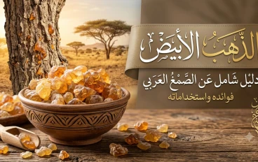 دليل شامل عن الصمغ العربي وفوائده المذهلة واستخداماته