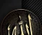 article image for شفرة التدين الأنسان 