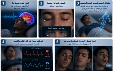 ماذا يحدث لجسم الإنسان عندما نحلم؟