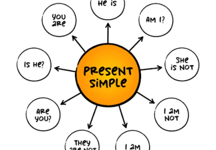 We use the Present Simple tense in three main scenarios: