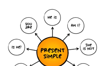 We use the Present Simple tense in three main scenarios: