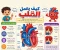 صورة مقال التكوين الجنيني للقلب و العيوب الخلقية