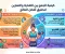 صورة مقال كيفية الجمع بين التغذية والتمارين الرياضية لتحقيق أفضل النتائج في خسارة الوزن وبناء العضلات