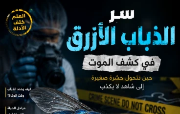 سر الذباب الأزرق في كشف الموت | كيف يساعد الطب الشرعي في تحديد وقت الوفاة؟