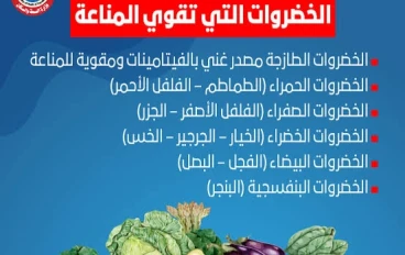 أفضل الأطعمة لتقوية المناعة: دليل شامل لتعزيز صحة الجسم بشكل طبيعي