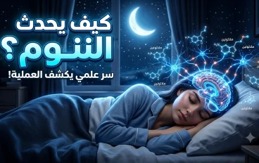 النوم: كيف يحدث داخل جسم الإنسان؟ رحلة علمية إلى عالم الراحة وتجديد النشاط