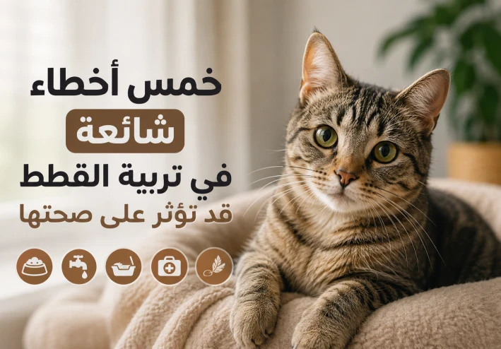 5  أخطاء شائعة في تربية القطط قد تؤثر على صحتها
