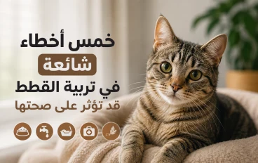 5  أخطاء شائعة في تربية القطط قد تؤثر على صحتها