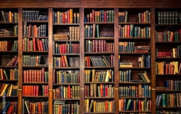 القراءة ليست هواية.. إنها مفتاح النجاح في العصر الحديث