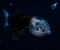 صورة مقال سمكة الرأس الشفاف (Barreleye Fish): الكائن الذي يرى العالم من خلال رأسه