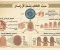 صورة مقال ما سبب اختلاف بصمة كل إنسان؟ السر العلمي وراء الهوية التي لا تتكرر