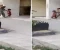 صورة مقال كفيف مصري يعمل في البناء وابنه يقوده.. قصة هزت مواقع التواصل
