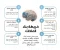 صورة مقال بناء الأهداف والعادات الصحية والثبات عليها للمسلم المعاصر: دليل عملي يراعي الدين والواقع. 
