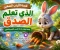 صورة مقال قصة الأرنب الصغير الذي تعلم الصدق | قصة أطفال هادفة تغرس القيم والأخلاق
