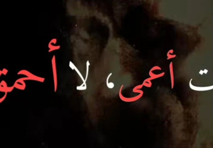 أنت أعمى، لا أحمق