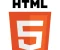 صورة مقال HTML BASCIS IMPORTANCE