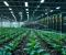 صورة مقال Modern Technology and Automation in Agriculture